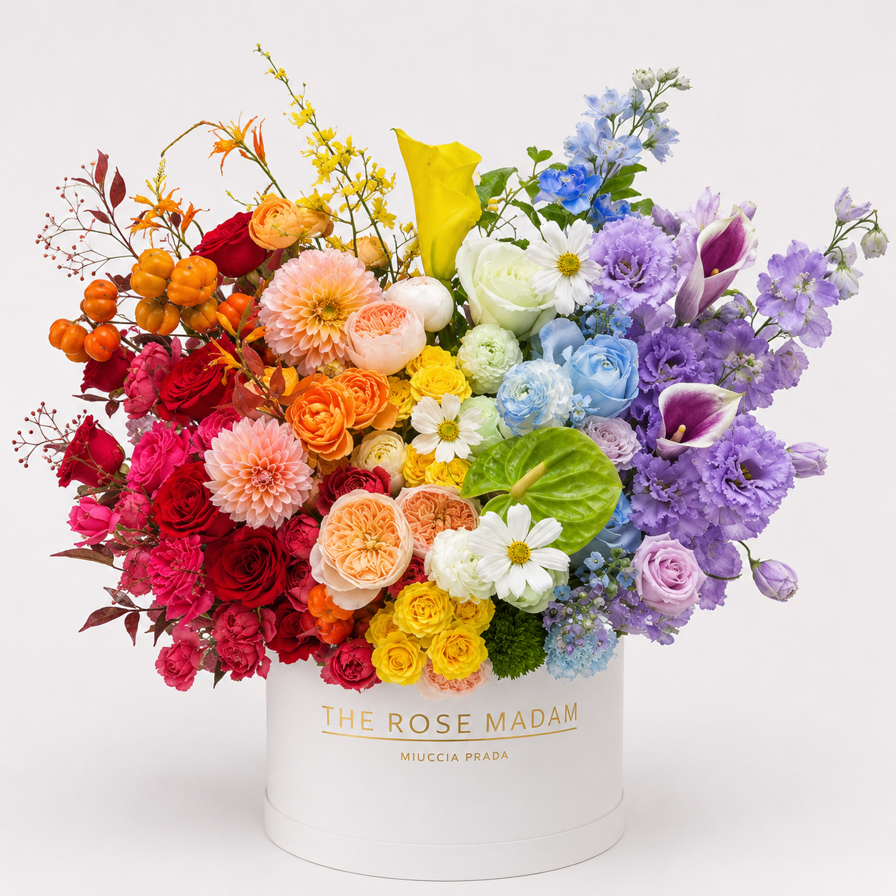 The Colour Garden